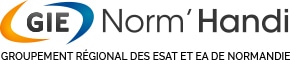 Logo GIE Norm'Handi, groupement régional des ESAT et EA de Normandie